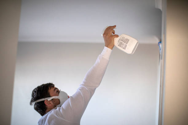 Best Mold Testing  in Elkader, IA