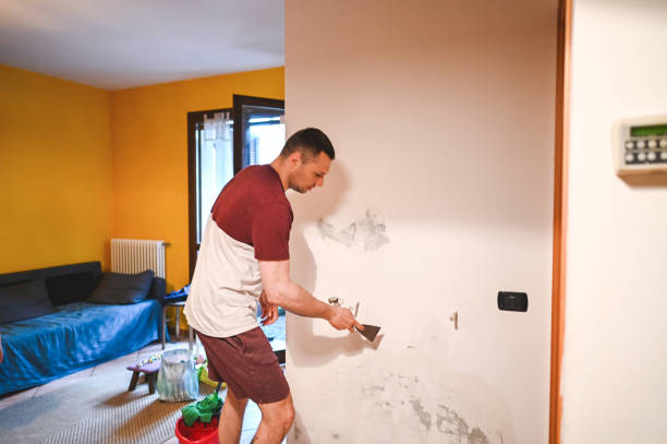 Best Attic Mold Removal  in Elkader, IA